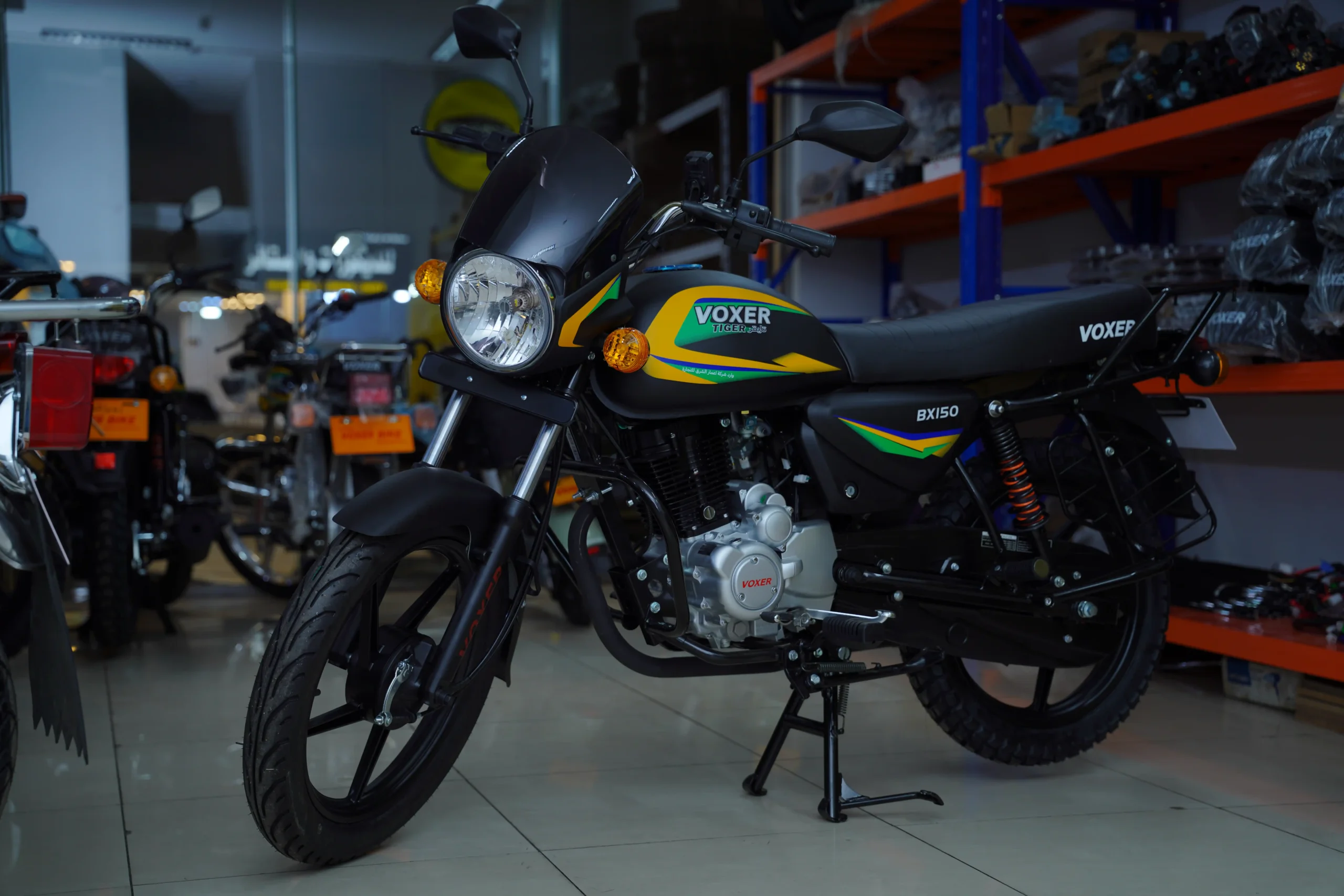 VOXER MODEL BX 150 THE TIGER - Image 6