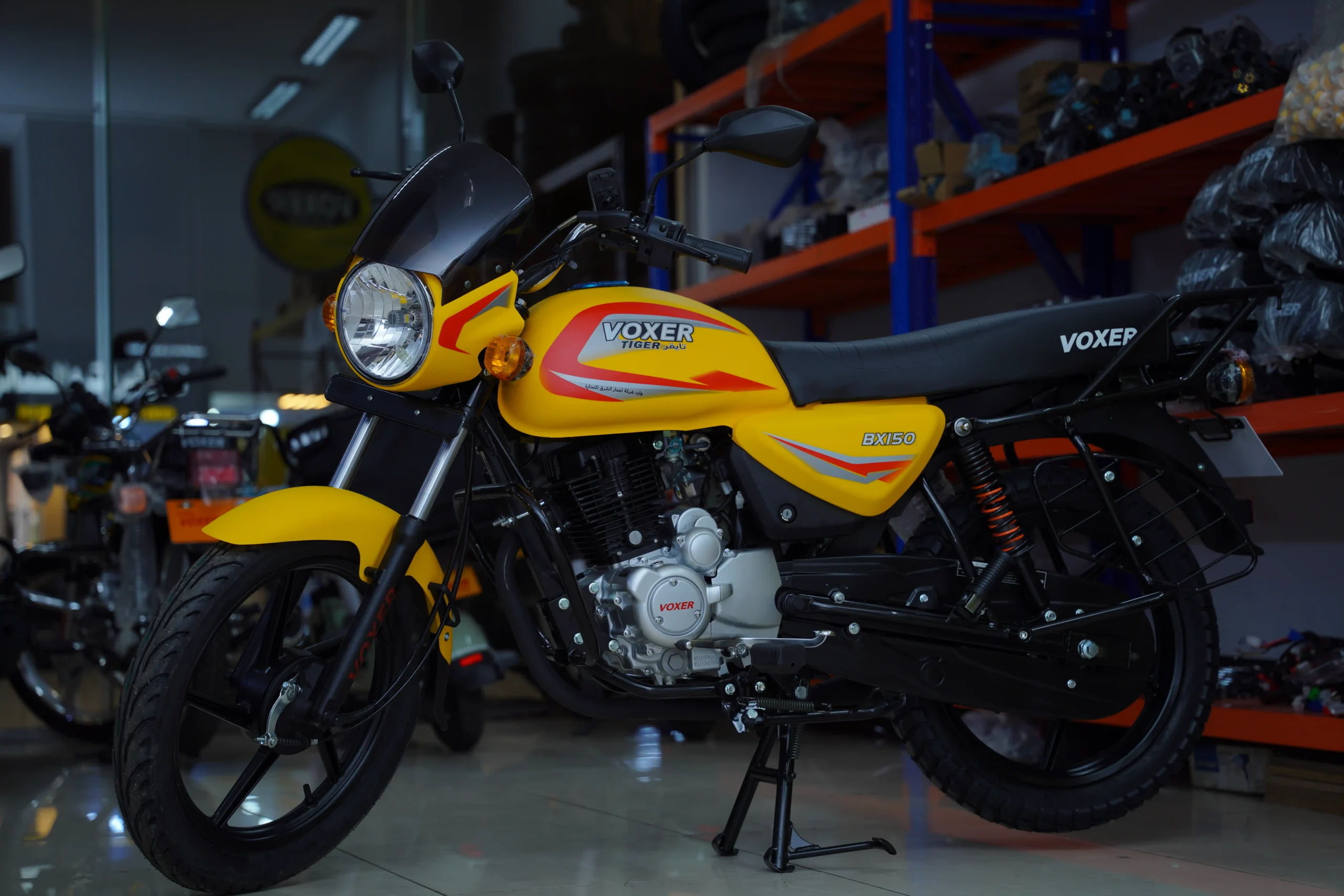 VOXER MODEL BX 150 THE TIGER - Image 10