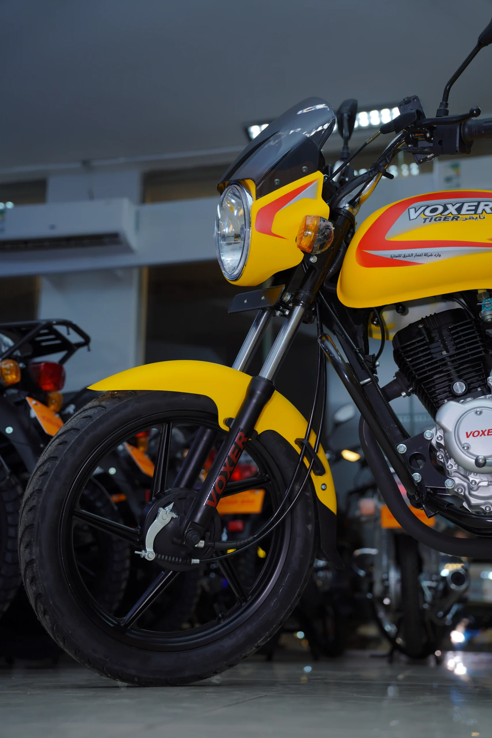 VOXER MODEL BX 150 THE TIGER - Image 13