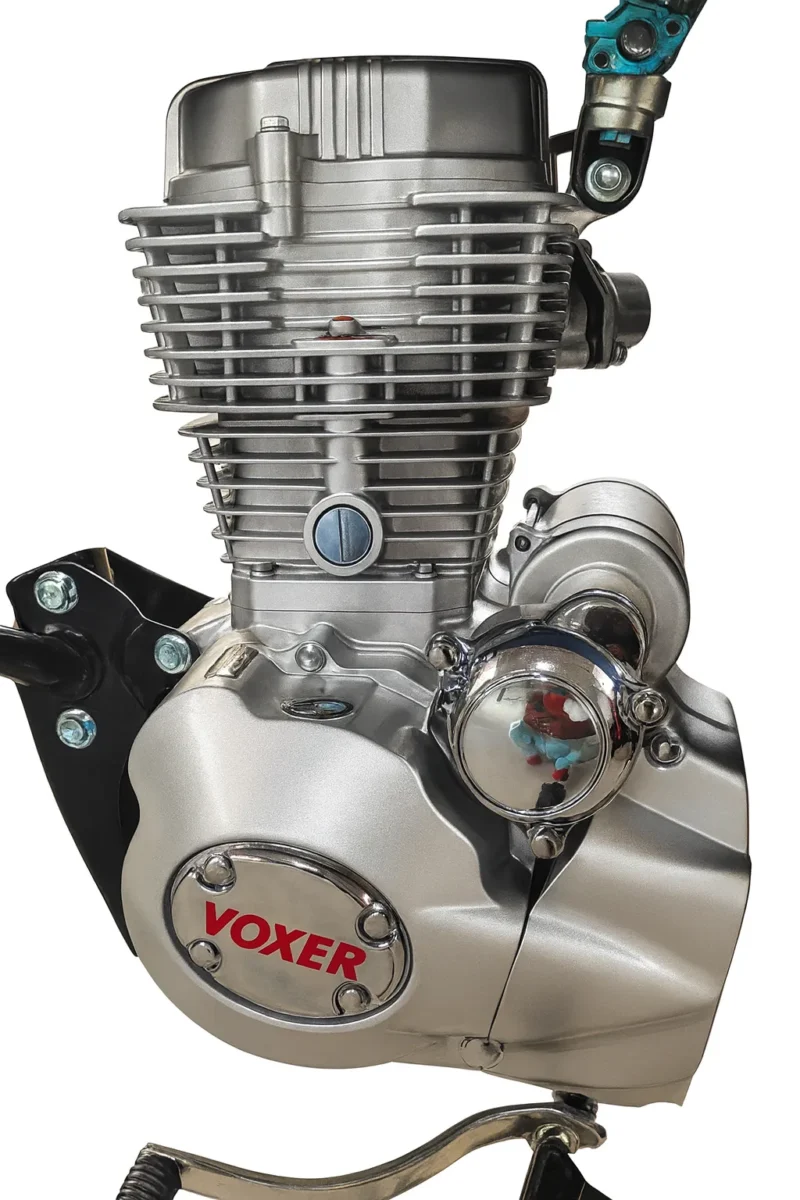 VOXER MODEL MX150 THE MONSTER - Image 3
